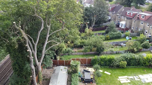 Ashsured Tree Experts photo 2