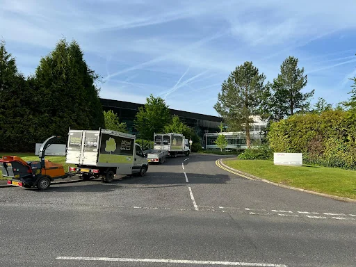 Ashsured Tree Experts photo 4