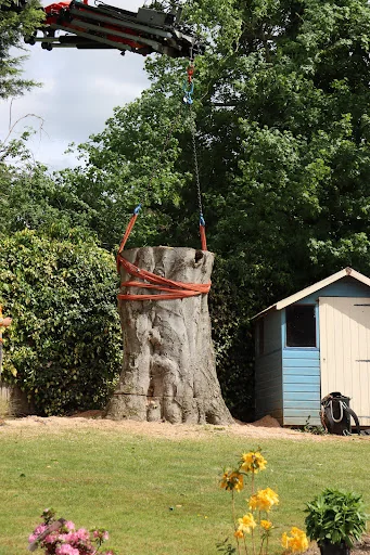 Ashsured Tree Experts photo 7