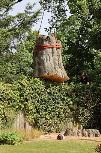 Ashsured Tree Experts photo 8