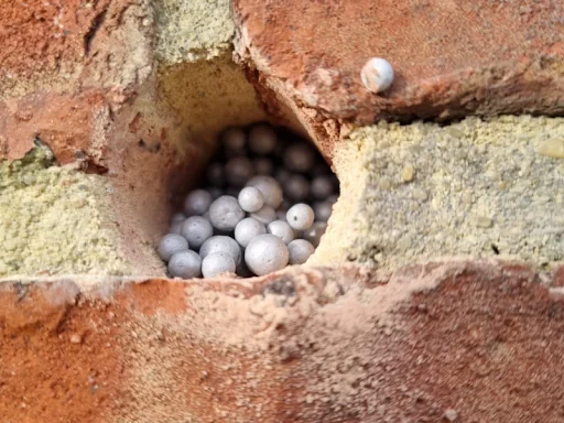 Eco Systems Group Ltd photo 3