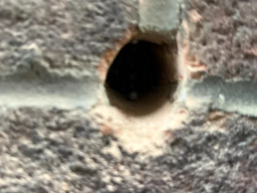 Eco Systems Group Ltd photo 4