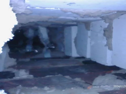 Eco Systems Group Ltd photo 5