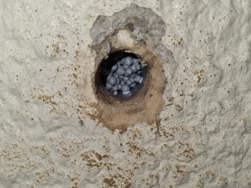 Eco Systems Group Ltd photo 6