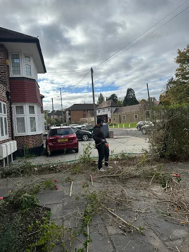 Mr George Garden Landscaping photo 4