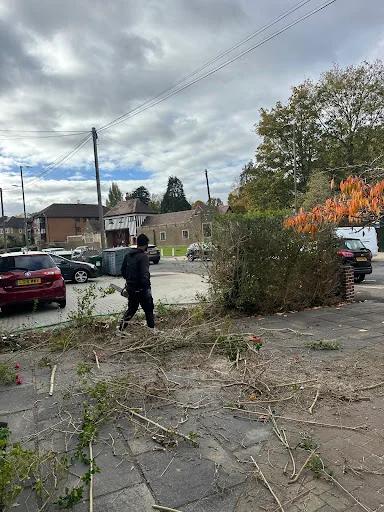 Mr George Garden Landscaping photo 5