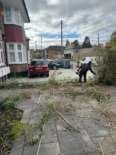 Mr George Garden Landscaping photo 6