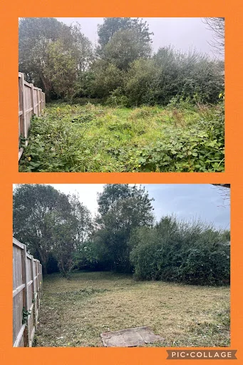 New Forest Garden Works photo 1