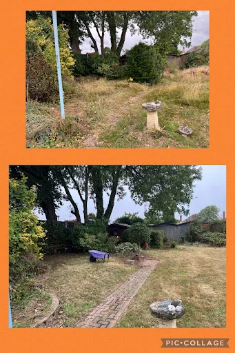 New Forest Garden Works photo 3