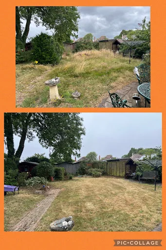 New Forest Garden Works photo 4