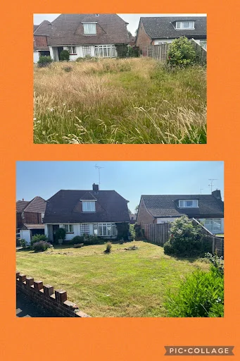 New Forest Garden Works photo 5