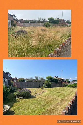 New Forest Garden Works photo 6