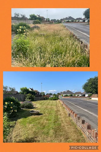 New Forest Garden Works photo 7