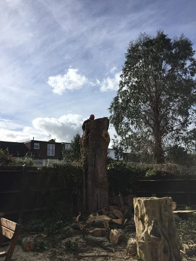 Gecko Tree Solutions photo 3