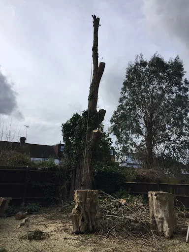 Gecko Tree Solutions photo 4