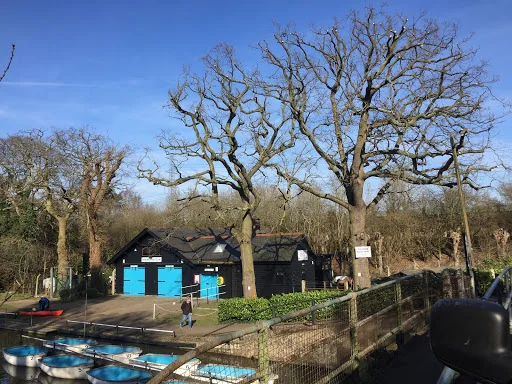 Gecko Tree Solutions photo 6