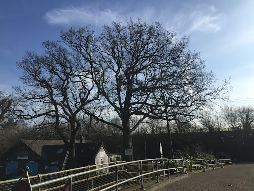 Gecko Tree Solutions photo 7