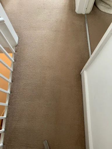 Affordable Carpet Cleaning photo 1