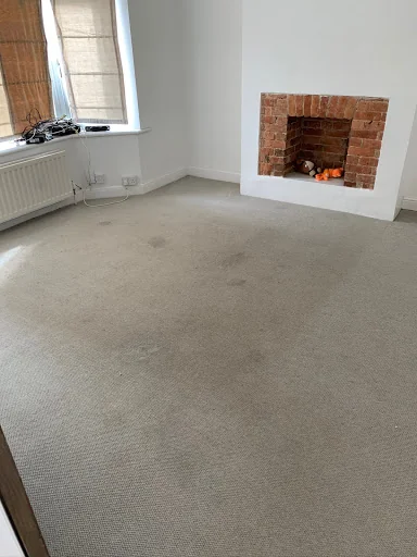 Affordable Carpet Cleaning photo 2