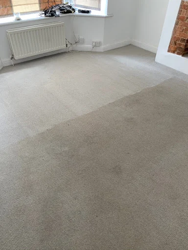 Affordable Carpet Cleaning photo 3