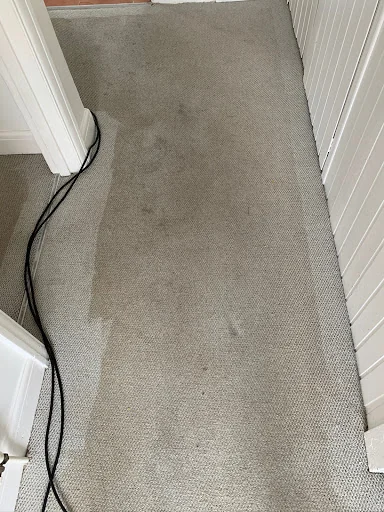 Affordable Carpet Cleaning photo 5