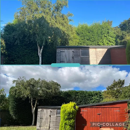 RLJ Tree Services photo 6