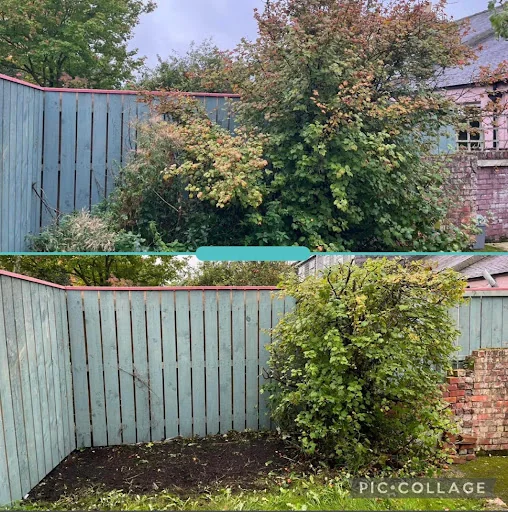 RLJ Tree Services photo 7