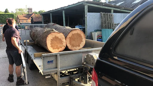 L Smith Tree Surgery photo 6