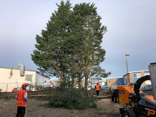 L Smith Tree Surgery photo 7