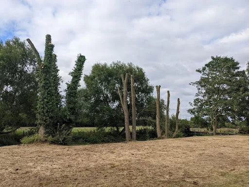 JE Tree Surgeons photo 1