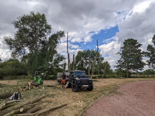 JE Tree Surgeons photo 5