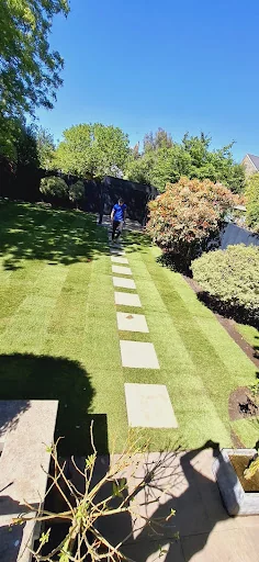 Olympus Landscaping photo 1