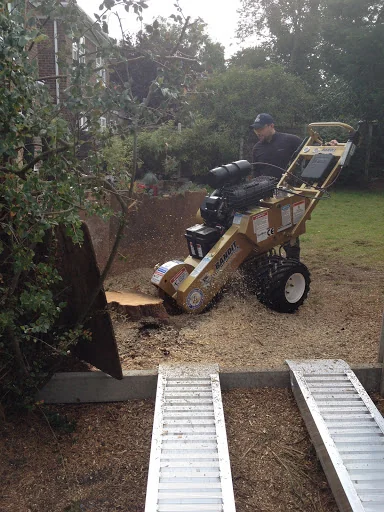 Kent Tree Care Ltd photo 3