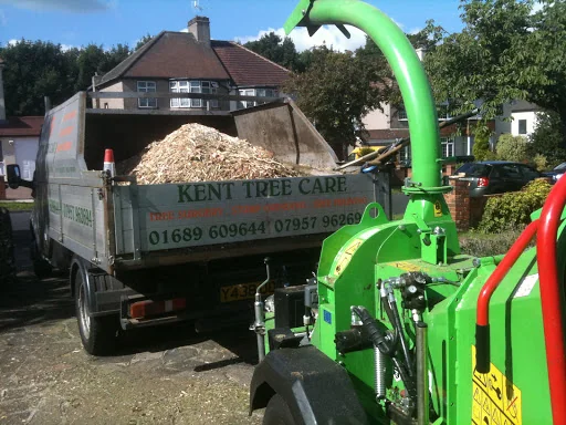 Kent Tree Care Ltd photo 8