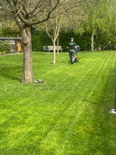 MD Garden Services Ltd photo 1