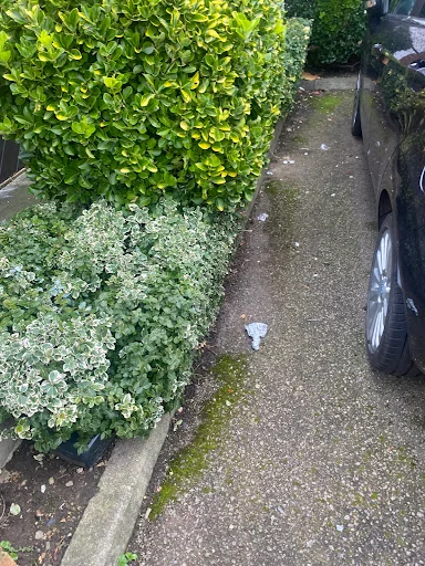 MD Garden Services Ltd photo 2