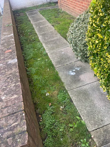 MD Garden Services Ltd photo 4