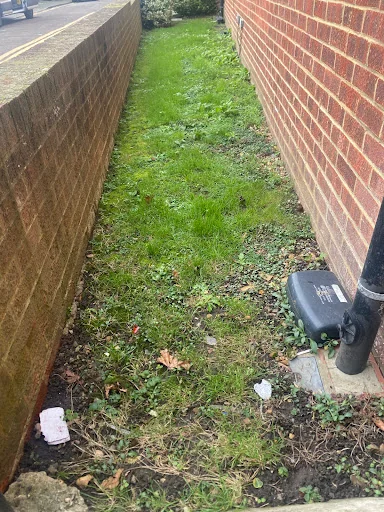 MD Garden Services Ltd photo 5