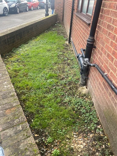 MD Garden Services Ltd photo 6