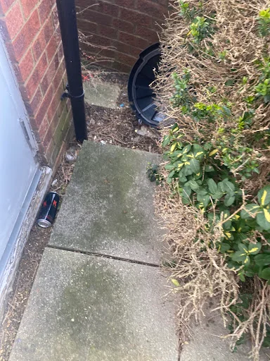 MD Garden Services Ltd photo 7