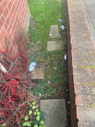 MD Garden Services Ltd photo 8