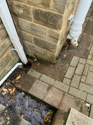 TCM Draincare photo 1