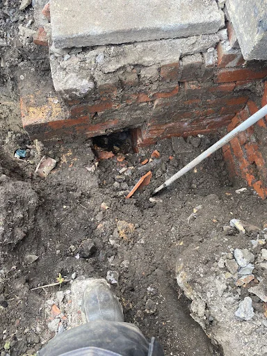 TCM Draincare photo 7