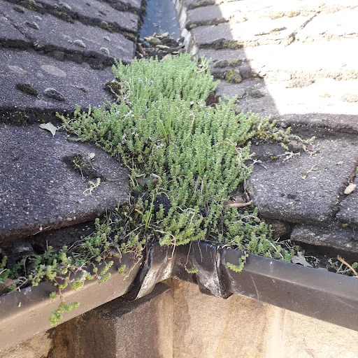 Sams Gutters West Yorkshire photo 1