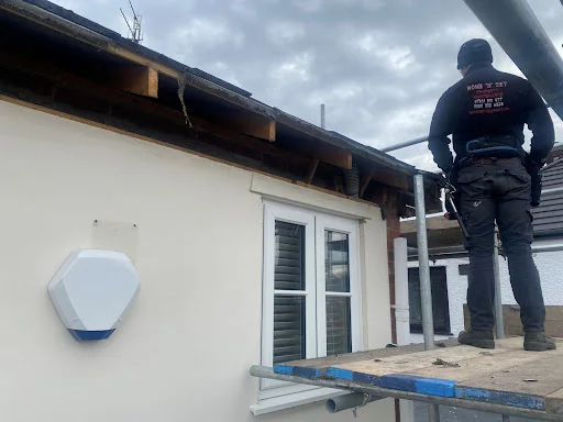 Home &amp; Dry photo 7