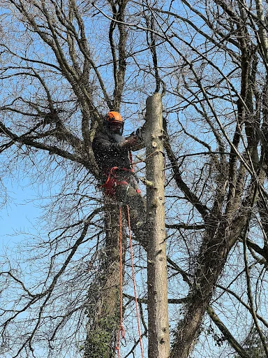 Green Countryside photo 1