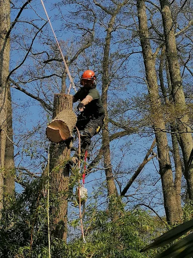Green Countryside photo 2