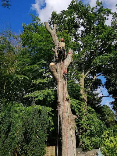 Green Countryside photo 3