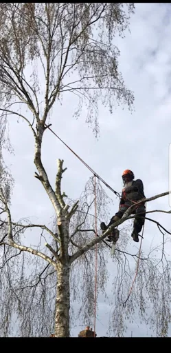 Green Countryside photo 4