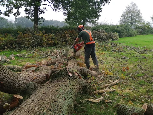 Green Countryside photo 5